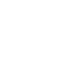 Vectus